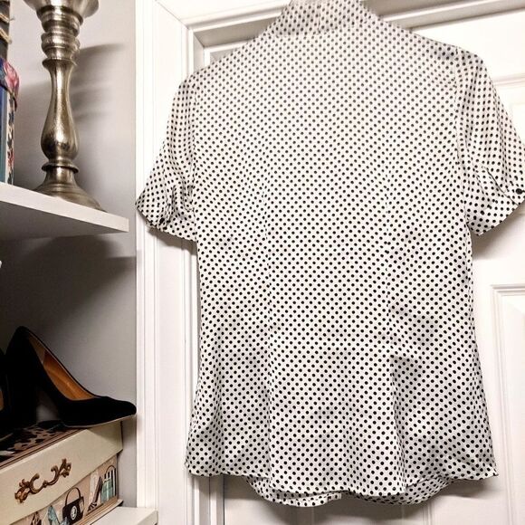 The Limited Silky Polka Dot Blouse Short Sleeve - Picture 8 of 8